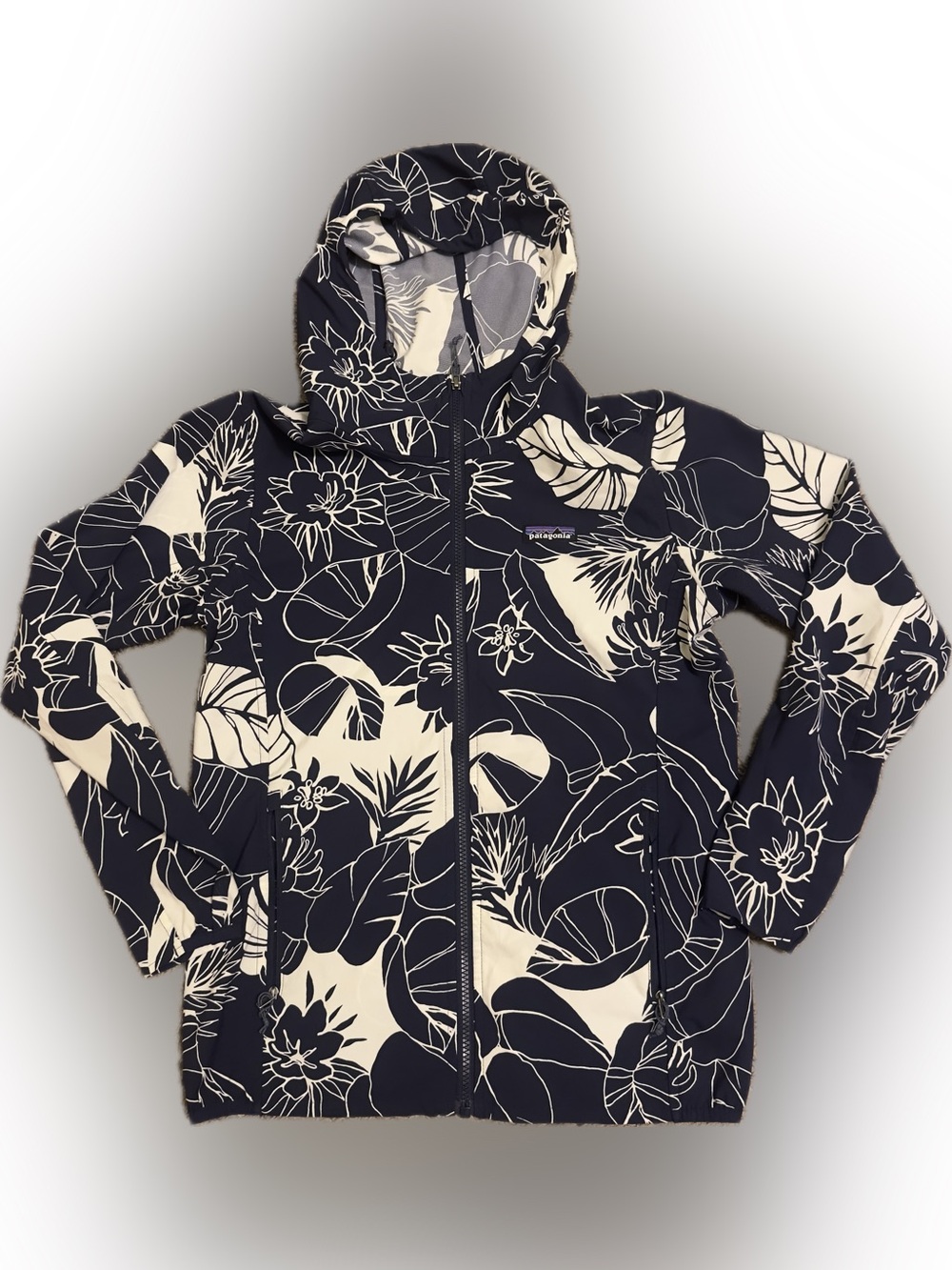 Patagonia Bajadas Hoodie Jacket
